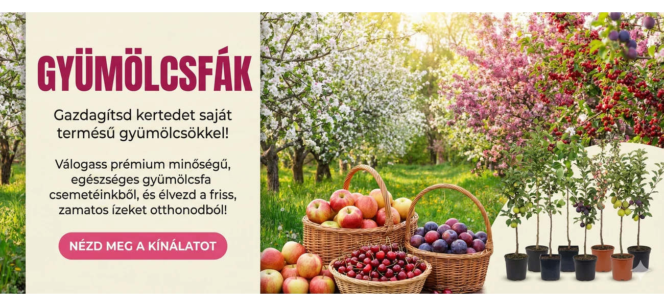 Szezonnyitó akció!