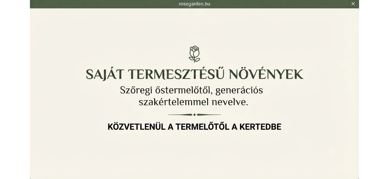 Szezonnyitó akció!