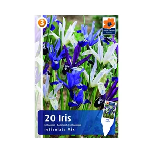 ÍRISZ BOTANICAL RETICULATA MIX 20DB/CSOM