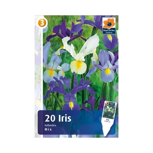 ÍRISZ HOLLANDICA MIX 20DB/CSOM