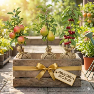 AranyGyümölcs Mystery Box