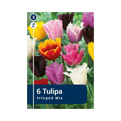 TULIPÁN FRINGED MIX 6DB/CSOM