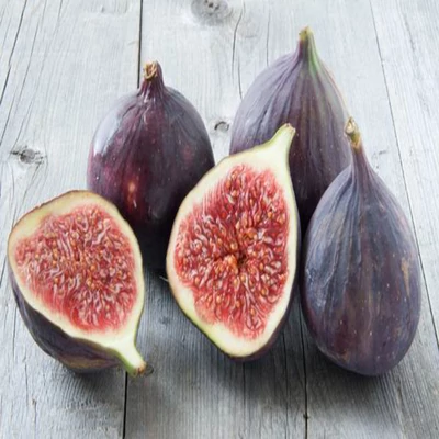  Fagytűrő lila füge