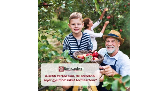 Mindent jól csináltam, mégsem eredt meg a rendelt növény…