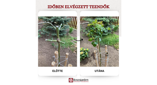 Ezekért a pillanatokért megéri a sok munka:)